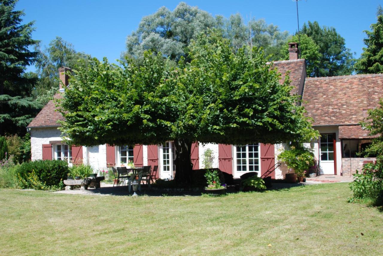 La Petite Marguerite Bed & Breakfast Chitenay Dış mekan fotoğraf
