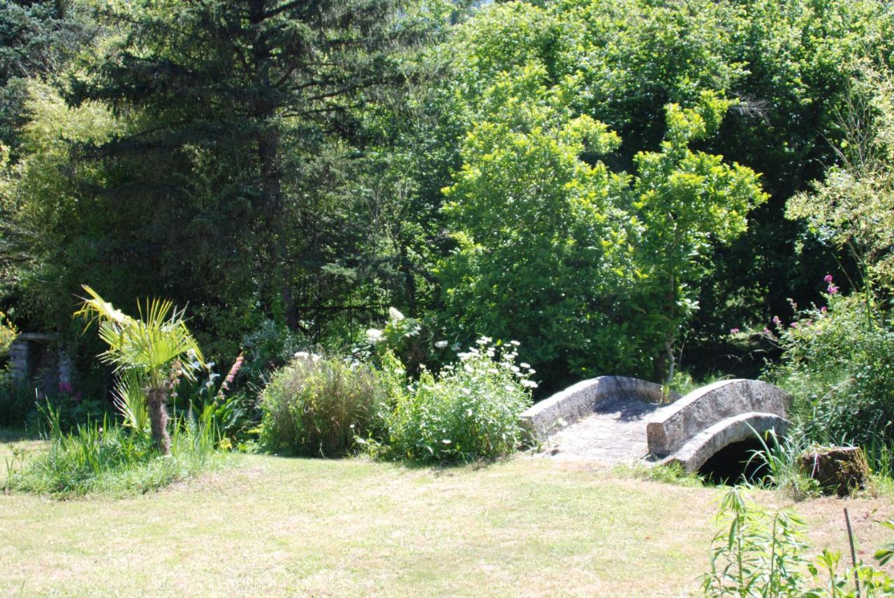 La Petite Marguerite Bed & Breakfast Chitenay Dış mekan fotoğraf