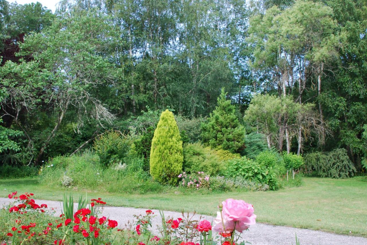 La Petite Marguerite Bed & Breakfast Chitenay Dış mekan fotoğraf