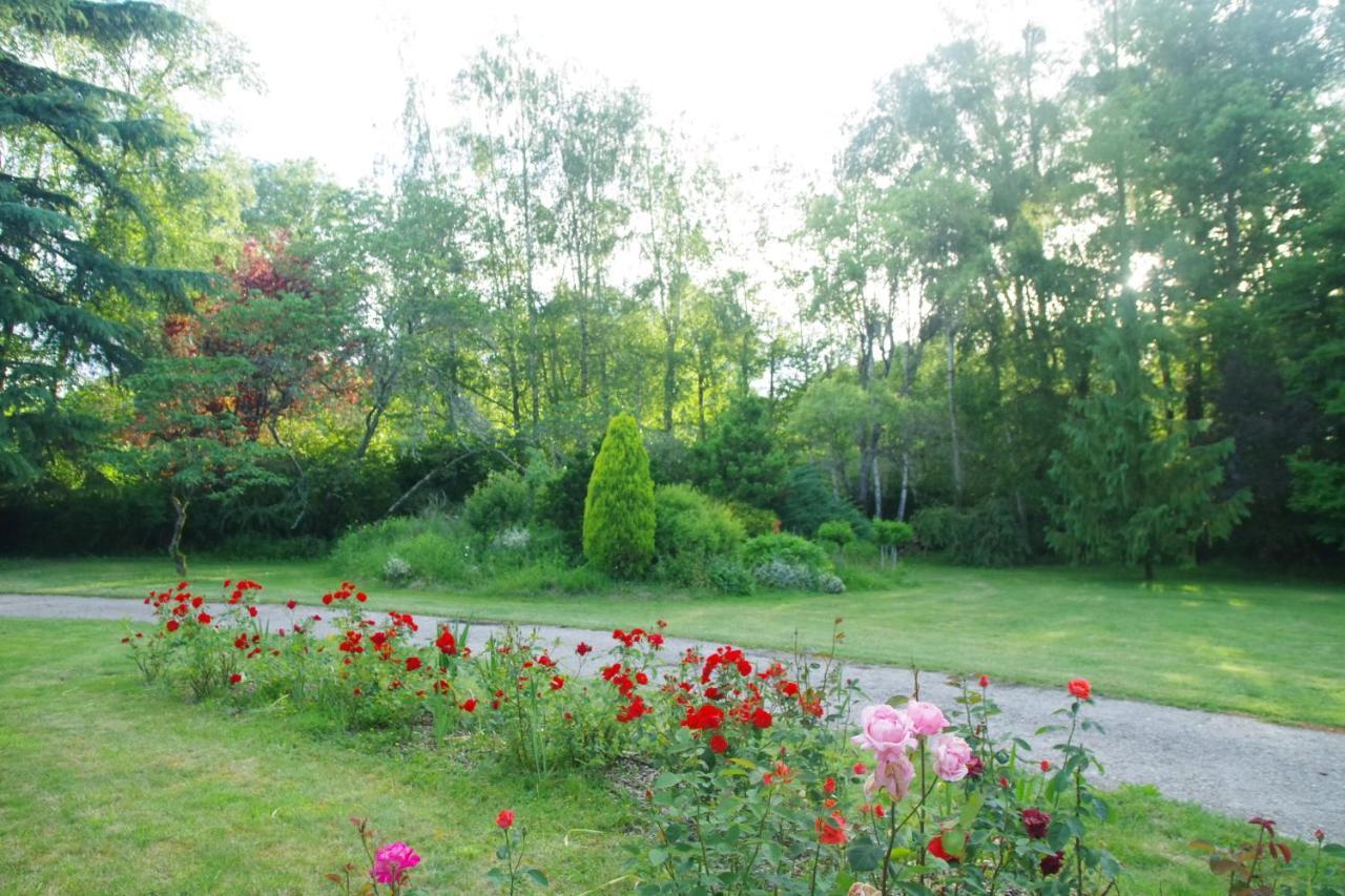 La Petite Marguerite Bed & Breakfast Chitenay Dış mekan fotoğraf