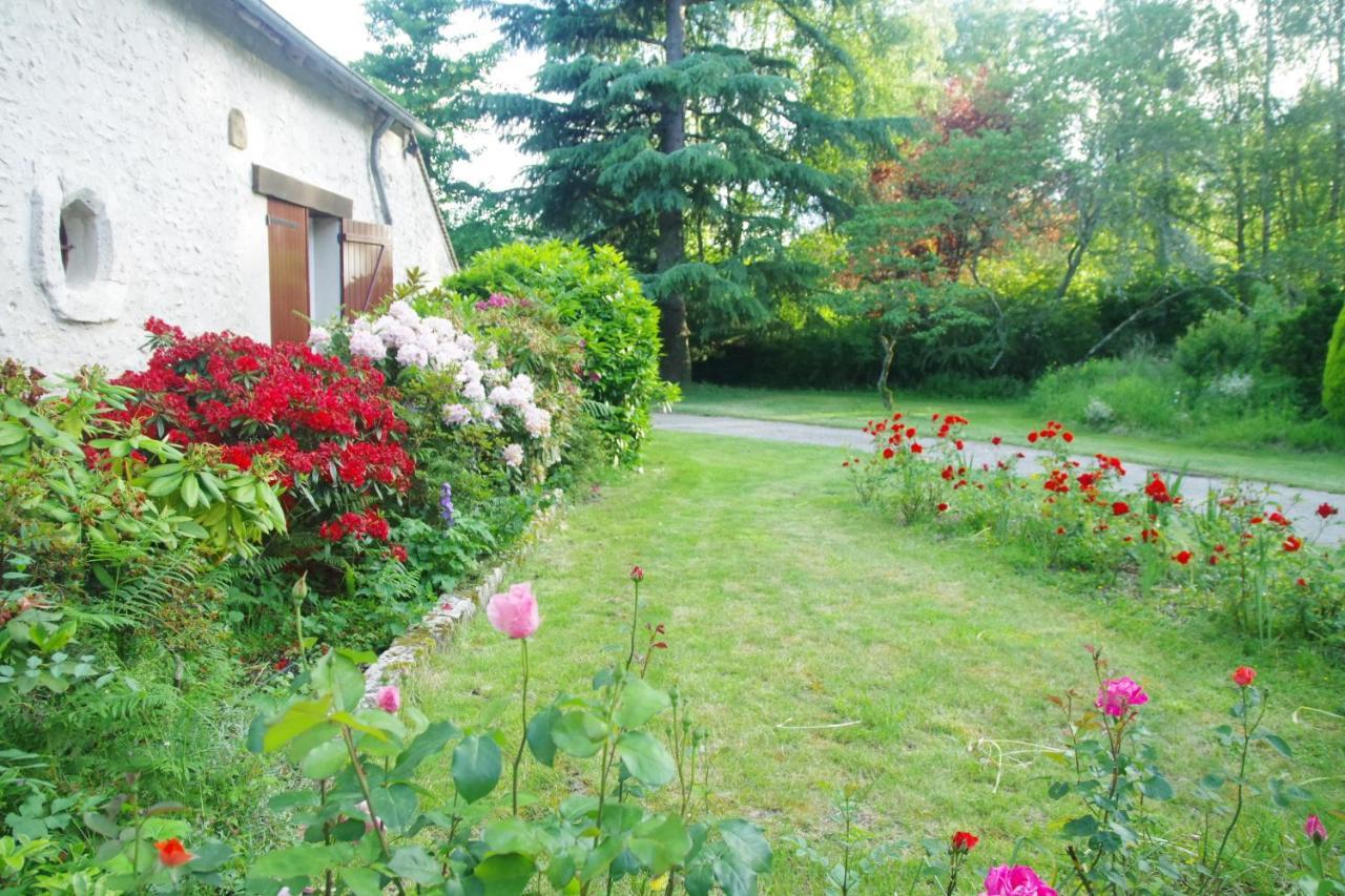 La Petite Marguerite Bed & Breakfast Chitenay Dış mekan fotoğraf